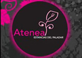 Плитка Atenea