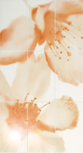 Плитка Iris Ceramica Коллекция FIORILE : 752452FIORILE COMP.IBISCUS B