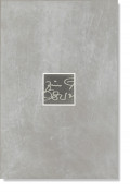 Плитка Agrob Buchtal Коллекция MATRIX : 229110MATRIX Cement-grey/steel