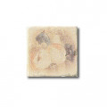 Плитка Serenissima Antiqva : Inserto Botticino Beige