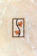 Плитка Baldocer Коллекция Aroa : DECOR JAVA SIENA