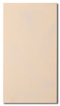 Плитка Iris Ceramica Коллекция INCANTO : 752119INCANTO SALMONE
