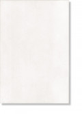 Плитка Agrob Buchtal Коллекция MATRIX : 229101MATRIX White