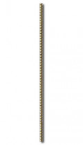 Плитка Iris Ceramica Коллекция LA VIE DELLA SETA : 880767MATITA PERLE GOLD