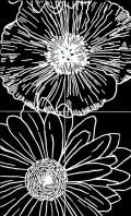 Плитка Viva Ceramica Коллекция BLACK IS BACK : панно Daisy Nero