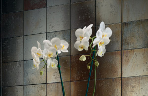 Керамическая плитка Iris Ceramica Коллекция METALLINE