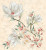 Kerliife Primavera Magnolia Crema 71x75,3 Панно настенное