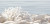 Alma Del Mare 25х50 DWU09DLM624 Декор