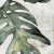 ZYX Amazonia Tropic Emerald Matt. 14х14 Керамогранит