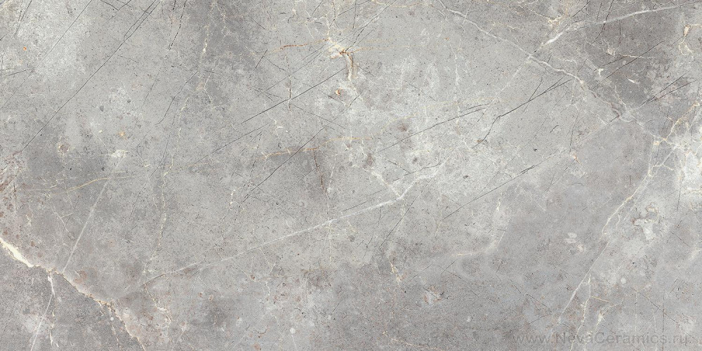 Фото плитки ITALON Charme Evo Floor Project : Italon Charme Evo Imperiale Lux 60x120 Керамогранит, 120x60 в интерьере
