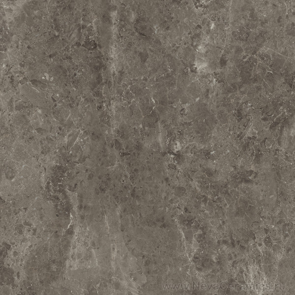 Фото плитки ITALON Room Floor Project : Italon Room Stone Grey Cer. 60х60 Керамогранит, 60x60 в интерьере