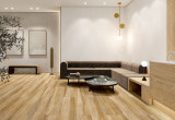 Интерьер Плитка ITC (Индия) Drift Wood