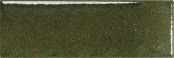 Фото товара Wow Micare Evergreen Medium 5x15 Керамогранит