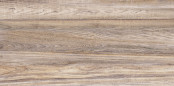 Alma Ceramica Dublin : Alma Dublin 25х50 TWU09DBL404 Плитка облицовочная коричневая, 50x24.9
