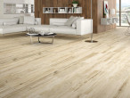 Интерьер Плитка STN Ceramica Springwood