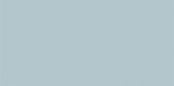 New Trend Fly : New Trend Fly Blue 25х50 WT9FLY06 Плитка настенная, 50x25