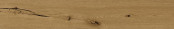 ColiseumGres Natura : Coliseumgres Natura Nut 20x120 Керамогранит, 120x20
