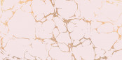 Фото товара New Trend Fiesta Golden Tint 25х50 DW9GTI02 Декор