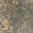 Фото товара Laparet Oberon Green 60x60 Керамогранит