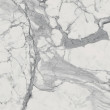 Фото товара Italon Charme Evo Statuario Pet. 80х80 Керамогранит