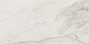 Azteca Calacatta : Azteca Calacatta Silver Nat 60x120 Керамогранит, 120x60