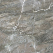 Ceradim Rio : Ceradim Rio Mat. 50x50 Керамогранит, 50x50