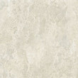 ColiseumGres Da Vinci : Coliseumgres Da Vinci White 60 Ret 60x60 Керамогранит, 60x60