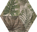 Фото товара AFRICA Hexa*