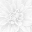 Интерьер Плитка Laparet Crisantemo