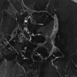 Фото товара Primavera Dalim Black 60x60 Керамогранит