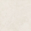 Фото товара Italon Forum Wave Polar Ret 120x120 Керамогранит